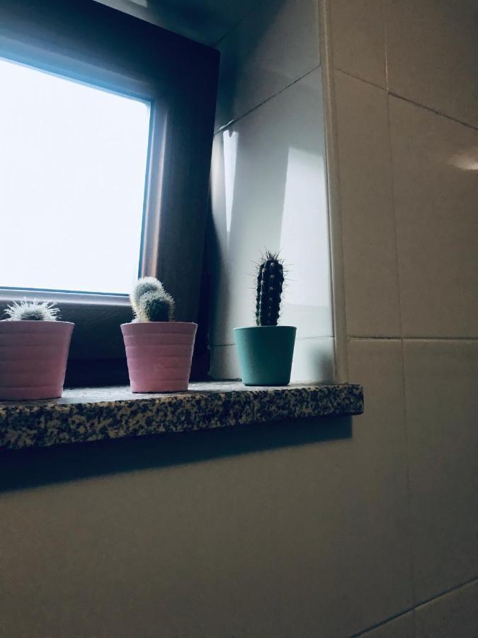 Boavista Villa Guesthouse 포르투 외부 사진