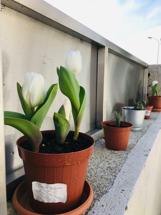 Boavista Villa Guesthouse 포르투 외부 사진